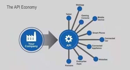 當API成為服務 互聯(lián)網(wǎng)數(shù)據(jù)服務的新范式